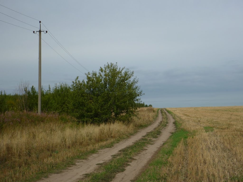 Села воля. Село Троицкое Целинный район Калмыкия и автомашина. Бороздение это. Дорога Целинное Троицкое отзывы.