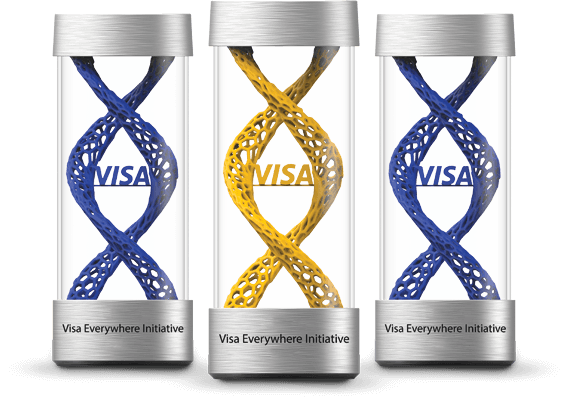 Победитель Visa Everywhere Initiative
